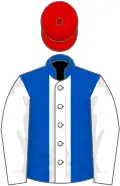 Royal blue, white stripe on body, white sleeves, red cap