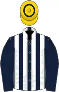 Dark blue and white stripes, blue sleeves, gold cap, blue hoop