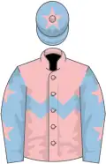 Pink, light blue chevron hoop, light blue sleeves, pink stars, light blue cap, pink star