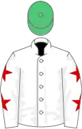 White, red stars on sleeves, emerald green cap