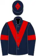 Dark blue, red chevron, armlets and diamond on cap