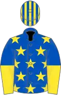 Royal Blue, Yellow stars, halved sleeves, Royal Blue and Yellow striped cap