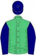 Emerald green, navy blue sleeves and cap