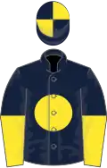 Black, yellow disc, halved sleeves, black and yellow quartered cap