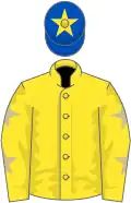 Yellow, beige stars on sleeves, royal blue cap, yellow star