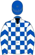 Royal blue and white check, white chevrons on sleeves, royal blue cap