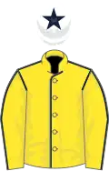 Yellow, dark blue seams, white cap, dark blue star