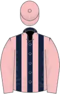 Pink, dark blue stripes on body