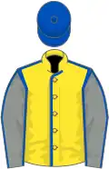 Yellow, royal blue seams, grey sleeves, royal blue seams, royal blue cap