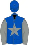 Royal blue, grey star and sleeves