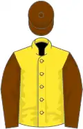 Canary yellow, chocolate sleeves and cap