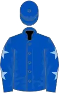 Royal blue, light blue stars on sleeves