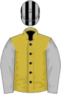 Old gold, black velvet buttons, silver grey sleeves, black and silver striped cap
