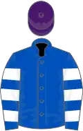 Royal blue, white hooped sleeves, purple cap