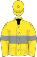 Yellow, grey hoop and armlets
