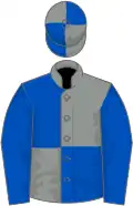 Grey and royal blue (quartered), royal blue sleeves
