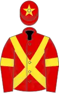 Red, yellow cross sashes, yellow armlet, yellow star on cap