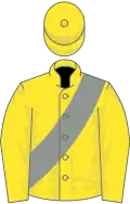 Yellow, grey sash