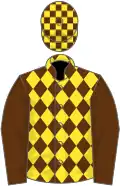 Brown and yellow diamonds, brown sleeves, check cap