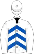 White and royal blue chevrons, white sleeves and cap