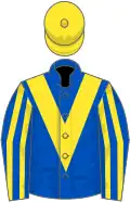 Royal blue, yellow chevron, striped sleeves, yellow cap