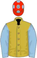 Old gold, light blue sleeves and spots on scarlet cap