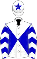 White, blue diabolo, chevrons on sleeves and star on cap