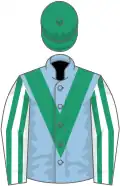 Light blue, emerald green chevron, white and emerald green striped sleeves, emerald green cap