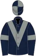 Dark blue, grey chevron and armlets, quartered cap