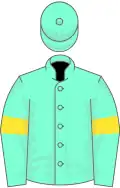 Aquamarine, yellow armlets