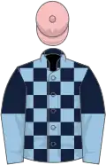 Dark blue and light blue check, halved sleeves, pink cap