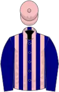 Navy blue and pink stripes, navy blue sleeves, pink cap