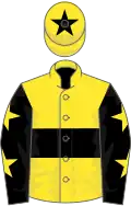 Yellow, black hoop, black sleeves, yellow stars, yellow cap, black star
