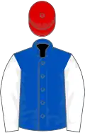 Royal blue, white sleeves, red cap