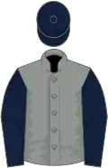 Grey, dark blue sleeves and cap