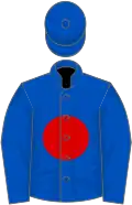 Royal blue, red disc, royal blue cap