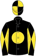 Black, yellow disc, diabolo on sleeves, quartered cap