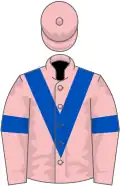 Pink, Royal Blue chevron and armlets