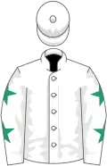 White, emerald green stars on sleeves