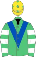 EmGreen,royal blue chevron,green and white hooped slvs,yellow cap,green stars