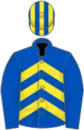 Royal blue, yellow chevrons, royal blue sleeves, striped cap
