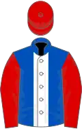 Royal blue, white stripe, red sleeves and cap