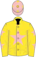 Yellow, pink star, pink stars on sleeves, pink cap, yellow stars