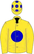 Yellow, blue disc, spots on cap