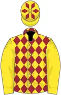 Yellow and maroon diamonds, yellow sleeves