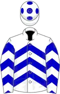 White, blue chevrons, spots on cap