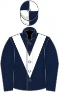 Dark blue, white chevron, quartered cap