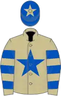 BEIGE, royal blue star, hooped sleeves, royal blue cap, beige star