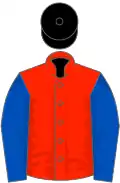 Scarlet, royal blue sleeves, black cap