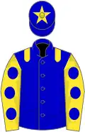 Blue, yellow epaulets, yellow sleeves, blue spots, blue cap, yellow star